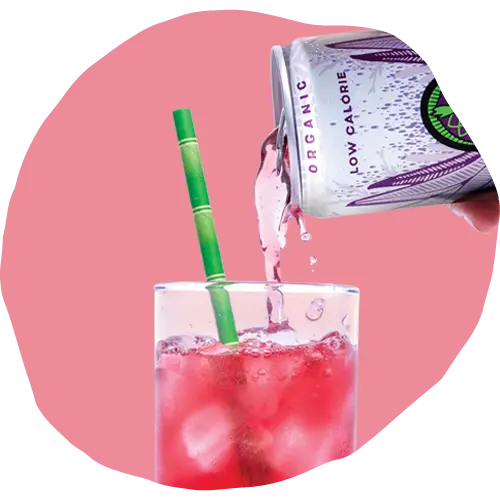 Low Calorie Açaí Pomegranate Amazon Energy Drink